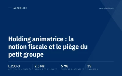 Holding animatrice : la notion fiscale et le piège du petit groupe