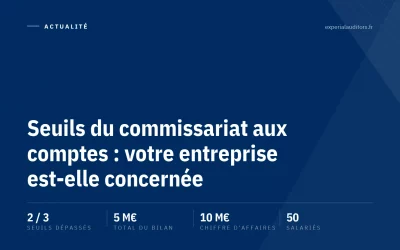 Seuils du commissariat aux comptes : votre entreprise est-elle concernée